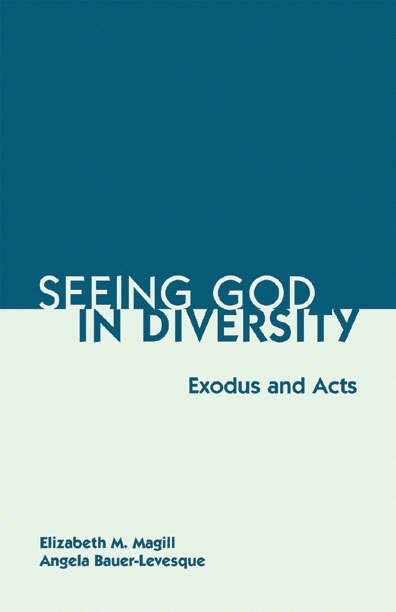 Seeing God in Diversity By Angela Bauer-Levesque Elizabeth M Magill