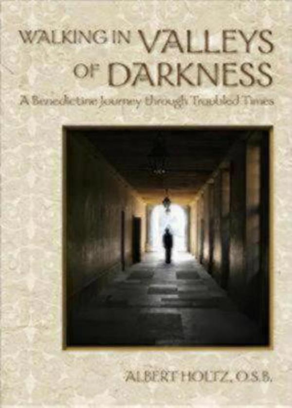 Walking In The Valleys Of Darkness By Albert Holtz (Paperback)