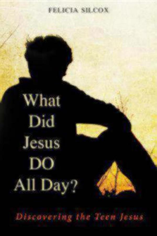 What Did Jesus DO All Day By Felicia Silcox (Paperback) 9780819227935