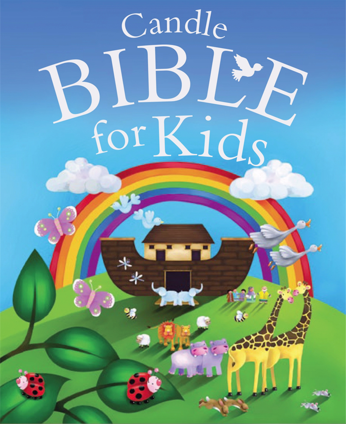 Candle Bible for Kids By David Juliet (Hardback) 9780825455575