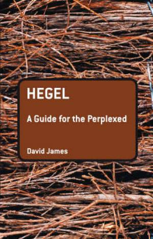 Hegel A Guide for the Perplexed