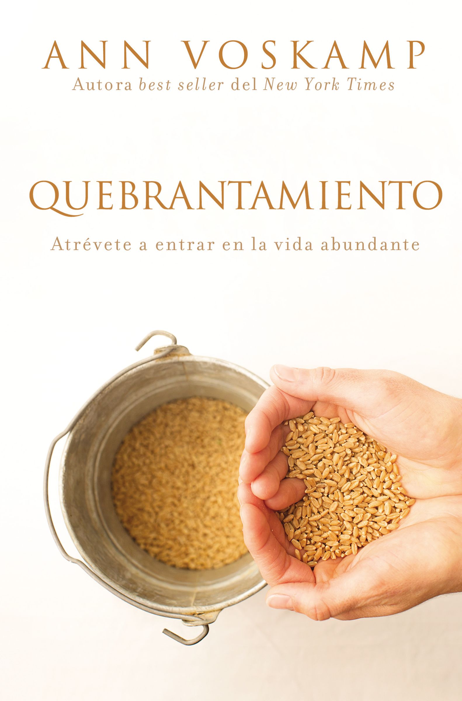 Quebrantamiento By Ann Voskamp (Paperback) 9780829767544