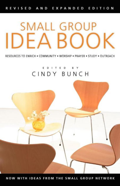 Small Group Idea Book By Cindy Bunch (Paperback) 9780830811243