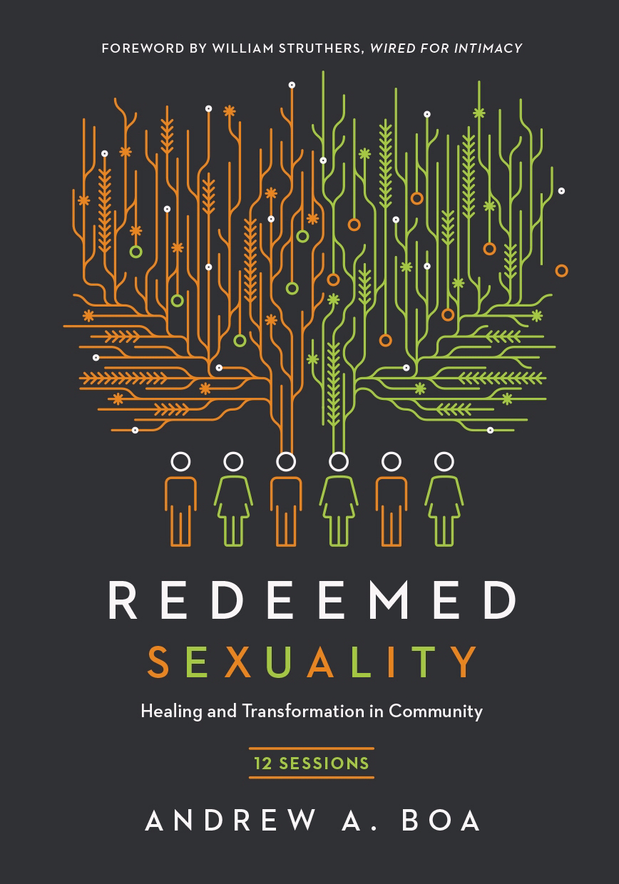 Redeemed Sexuality By Boa Andrew A (Paperback) 9780830821273