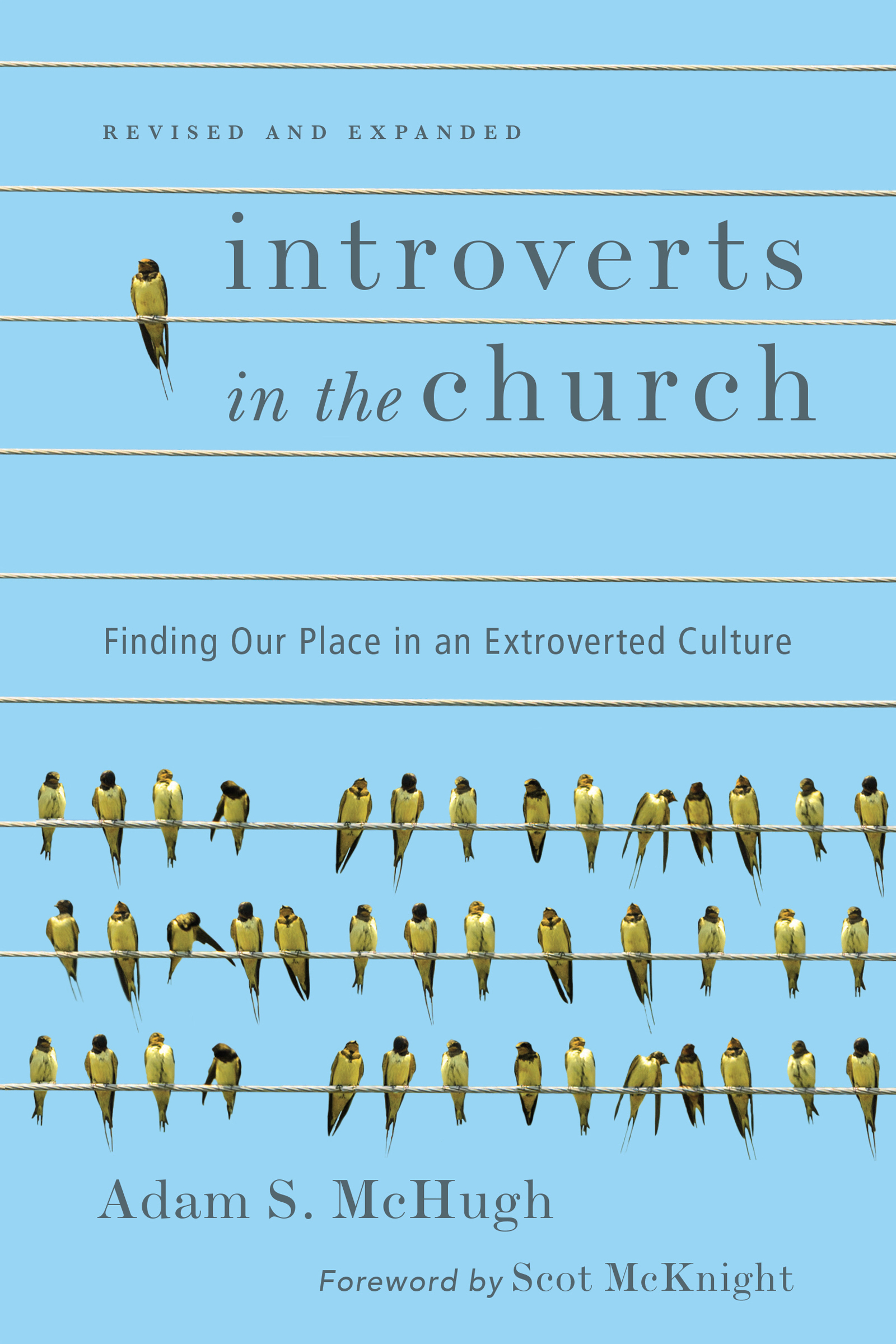 Introverts in the Church By Adam S Mc Hugh (Paperback) 9780830843916