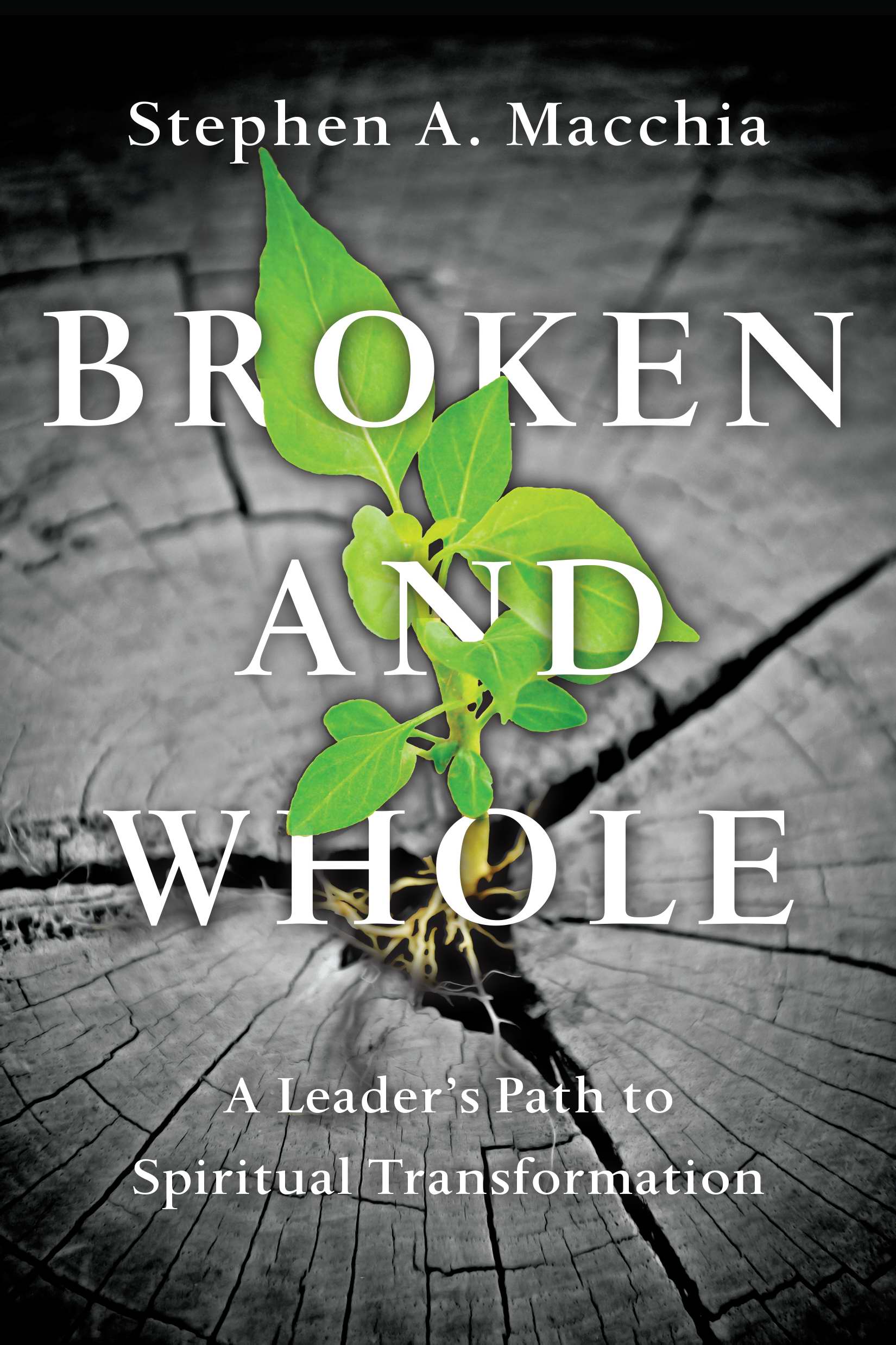 Broken and Whole By Stephen A Macchia (Paperback) 9780830846061