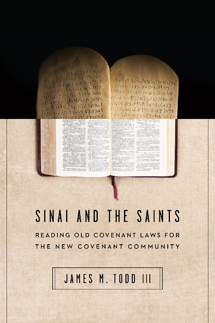 Sinai and the Saints By James M Todd III (Paperback) 9780830851621