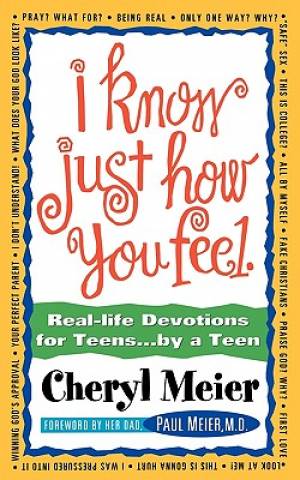 I Know Just How You Feel By Cheryl Meier (Paperback) 9780840743992