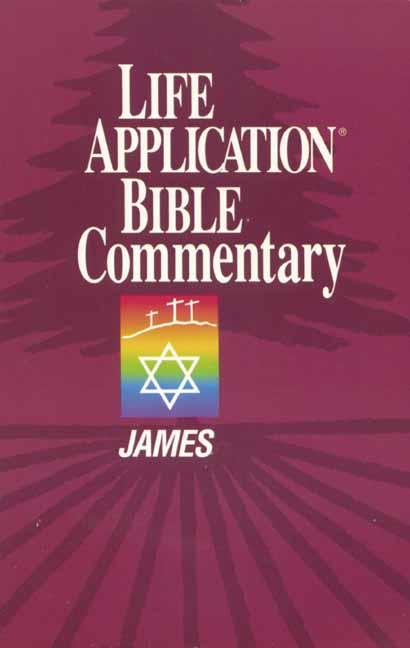 James Life Application Bible Commentary By Bruce B Barton (Paperback)