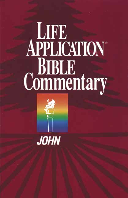 John Life Application Bible Commentary By Bruce B Barton (Paperback)