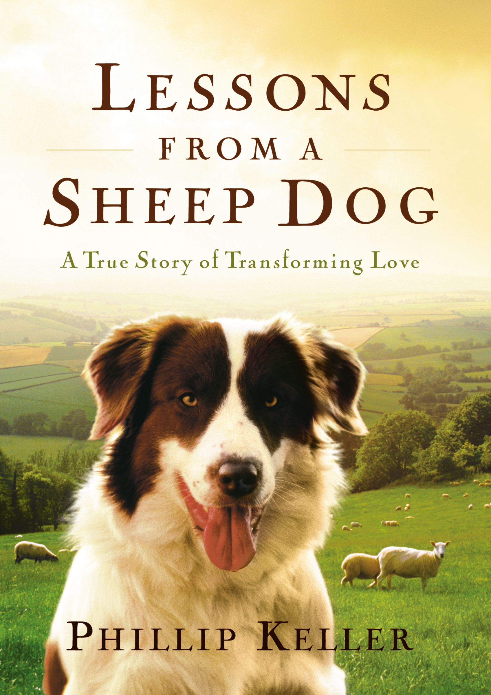 Lessons From A Sheep Dog By Phillip Keller (Hardback) 9780849917653