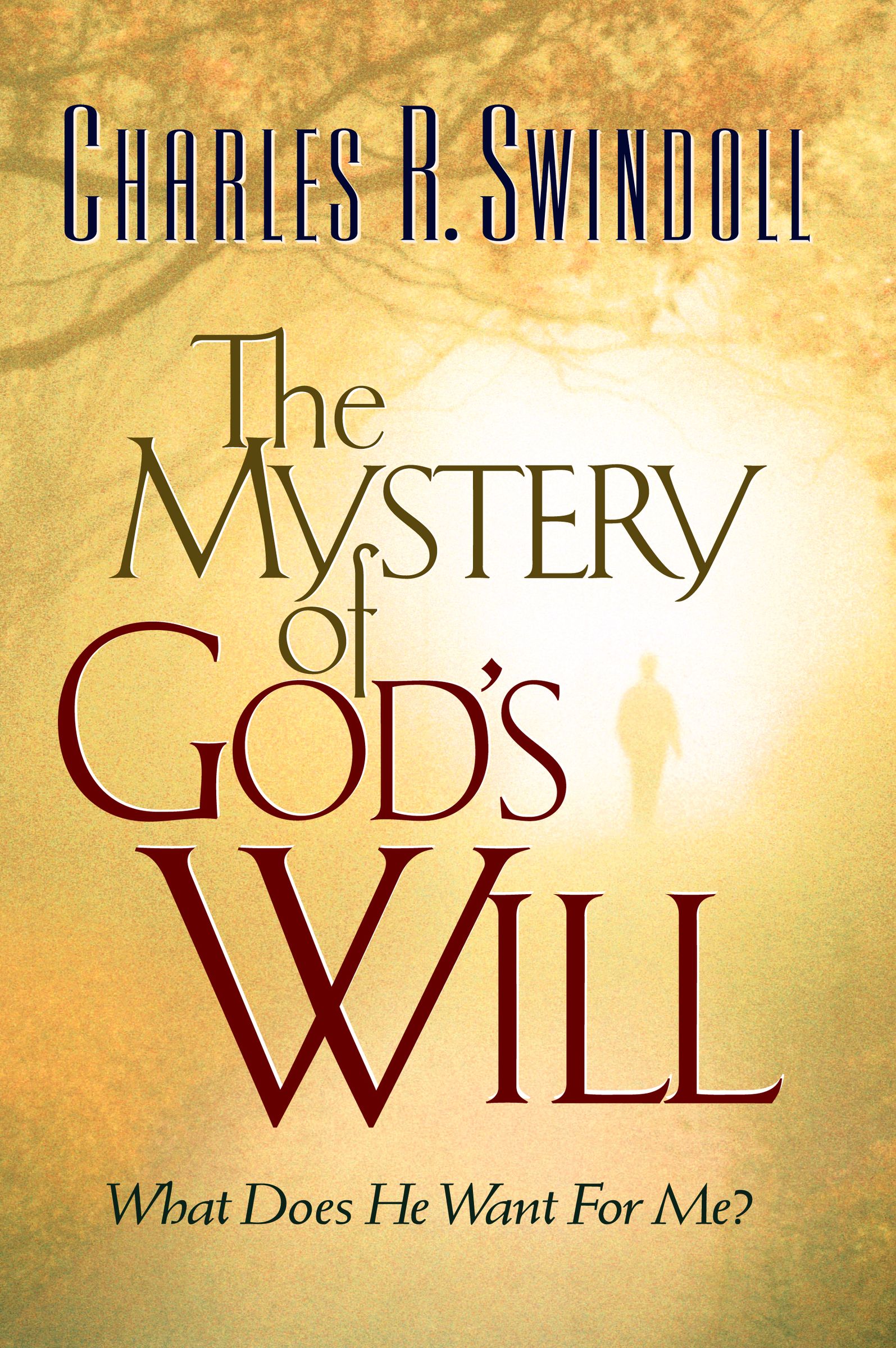 The Mystery of God's Will By Charles R Swindoll (Paperback)