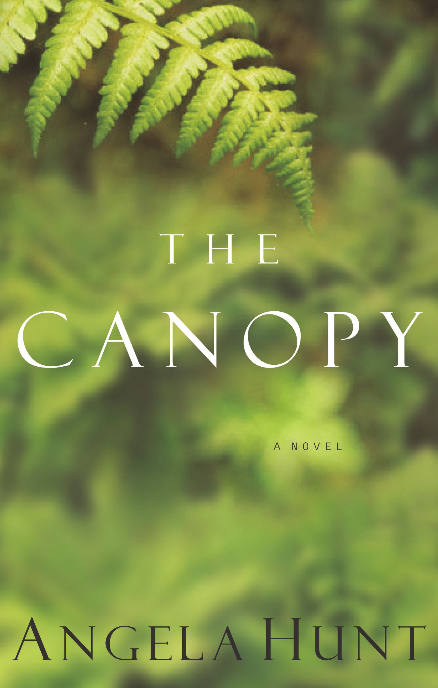 Canopy By Angela Elwell Hunt (Paperback) 9780849943454