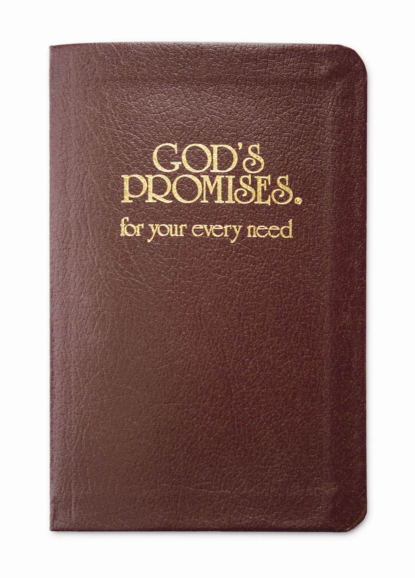 Gods Promises For Your Every Need (Leather) 9780849951329