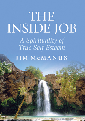 The Inside Job By Jim Mc Manus (Paperback) 9780852312902