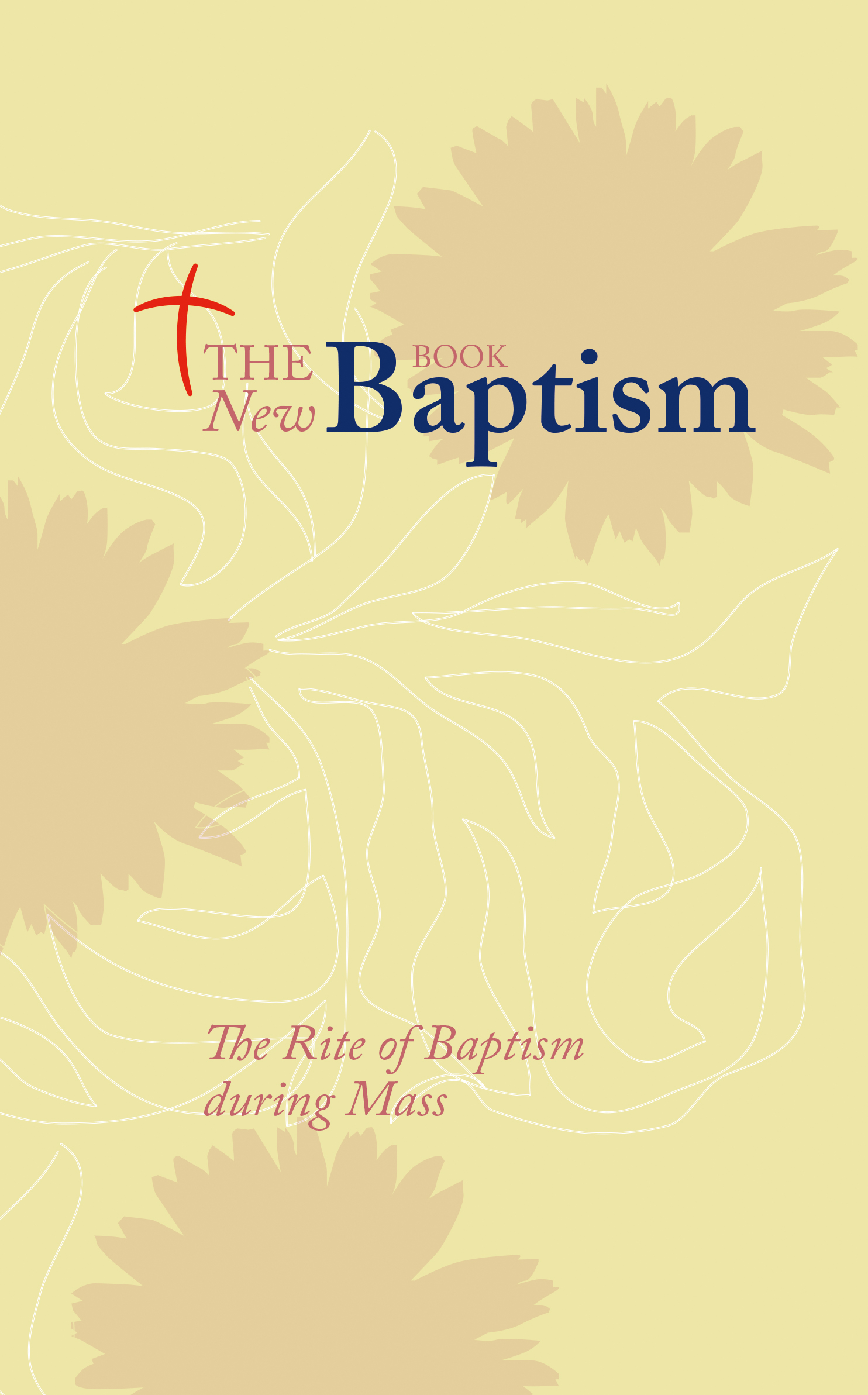 The New Baptism Book By Redemptorist (Paperback) 9780852313909