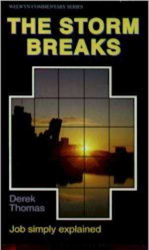 The Storm Breaks Job Simply Explained By D Thomas (Paperback)