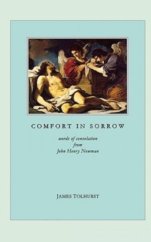 Comfort In Sorrow By James Tolhurst (Paperback) 9780852443064