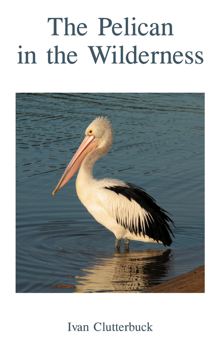 The Pelican in the Wilderness By Ivan Clutterbuck (Paperback)