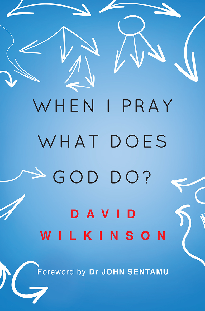 When I Pray What Does God Do By David Wilkinson (Paperback)