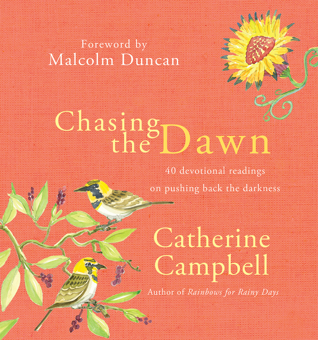 Chasing The Dawn By Catherine Campbell (Hardback) 9780857217387