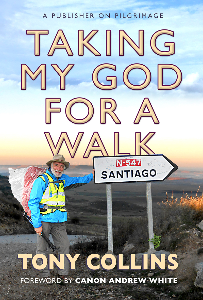 Taking My God For A Walk By Tony Collins (Paperback) 9780857217738