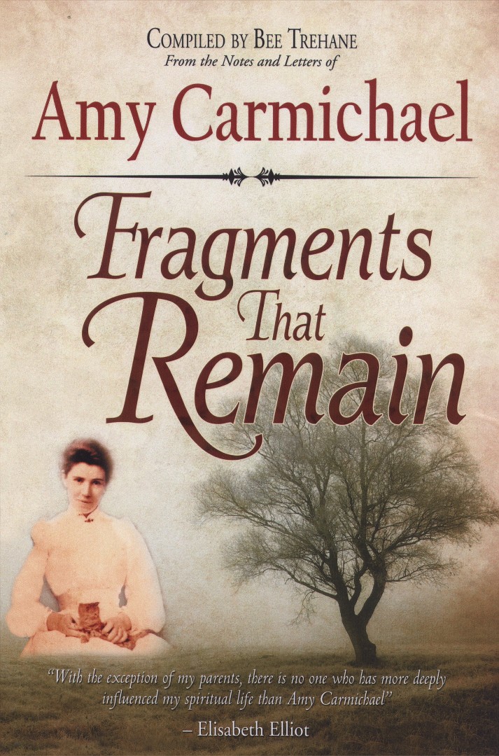 Fragments That Remain By Carmichael Amy (Paperback) 9780875089720