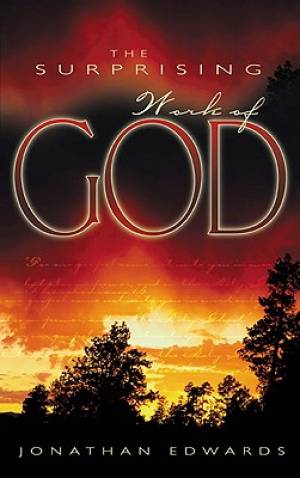 Surprising Work Of God By Edwards Jonathan (Paperback) 9780883682371