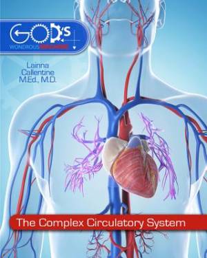 The Complex Circulatory System