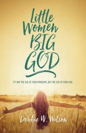 Little Women Big God The Women in Jesus's Family Line (Paperback)