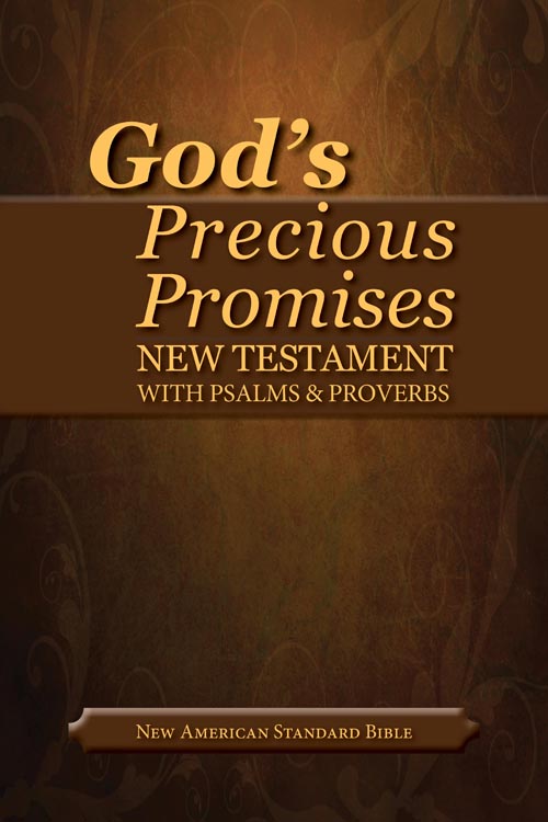 NASB Gods Precious Promises New Testament Bible Paperback (Paperback)