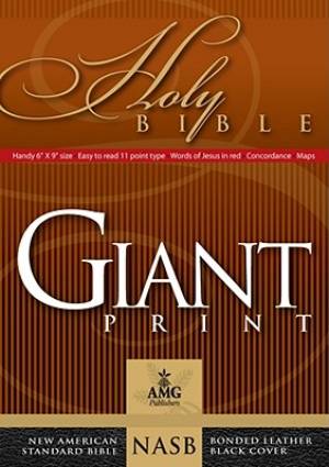 Giant Print Handy Size Bible By Baker Warren Patrick (Leather)