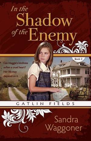 In the Shadow of the Enemy By Sandra Waggoner (Paperback)