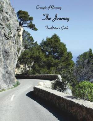 Concepts of Recovery the Journey By Mse Lpc Lace (Paperback)