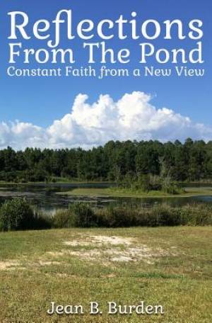 Reflections from the Pond Constant Faith from a New View (Paperback)