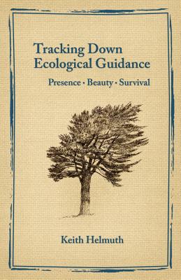 Tracking Down Ecological Guidance By Keith Helmuth (Paperback)