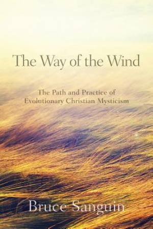 The Way of the Wind By Bruce G Sanguin (Paperback) 9780994887009