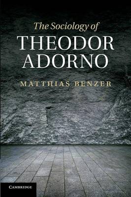 The Sociology of Theodor Adorno By Matthias Benzer (Paperback)