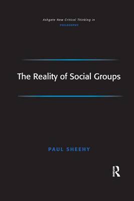 The Reality of Social Groups By Paul Sheehy (Paperback) 9781138264878