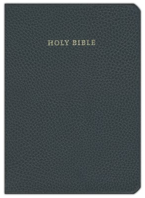 NIV Clarion Reference Bible Calf Split Leather NI484 X By TBD