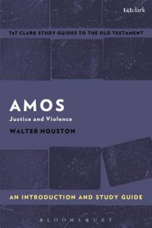 Amos an Introduction and Study Guide By Walter J Houston (Paperback)