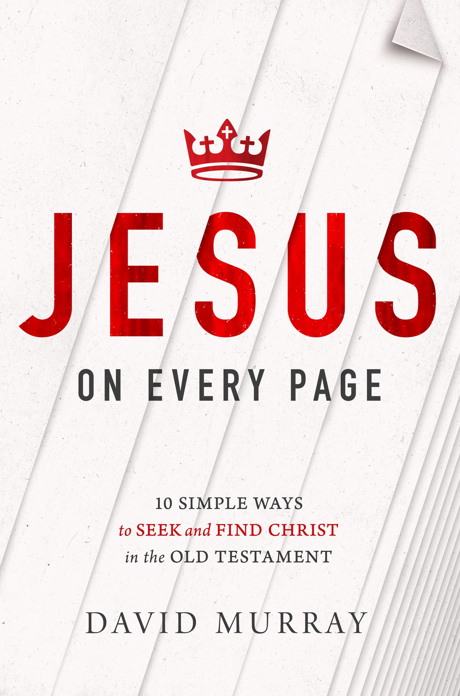 Jesus On Every Page By David Murray (Paperback) 9781400205349