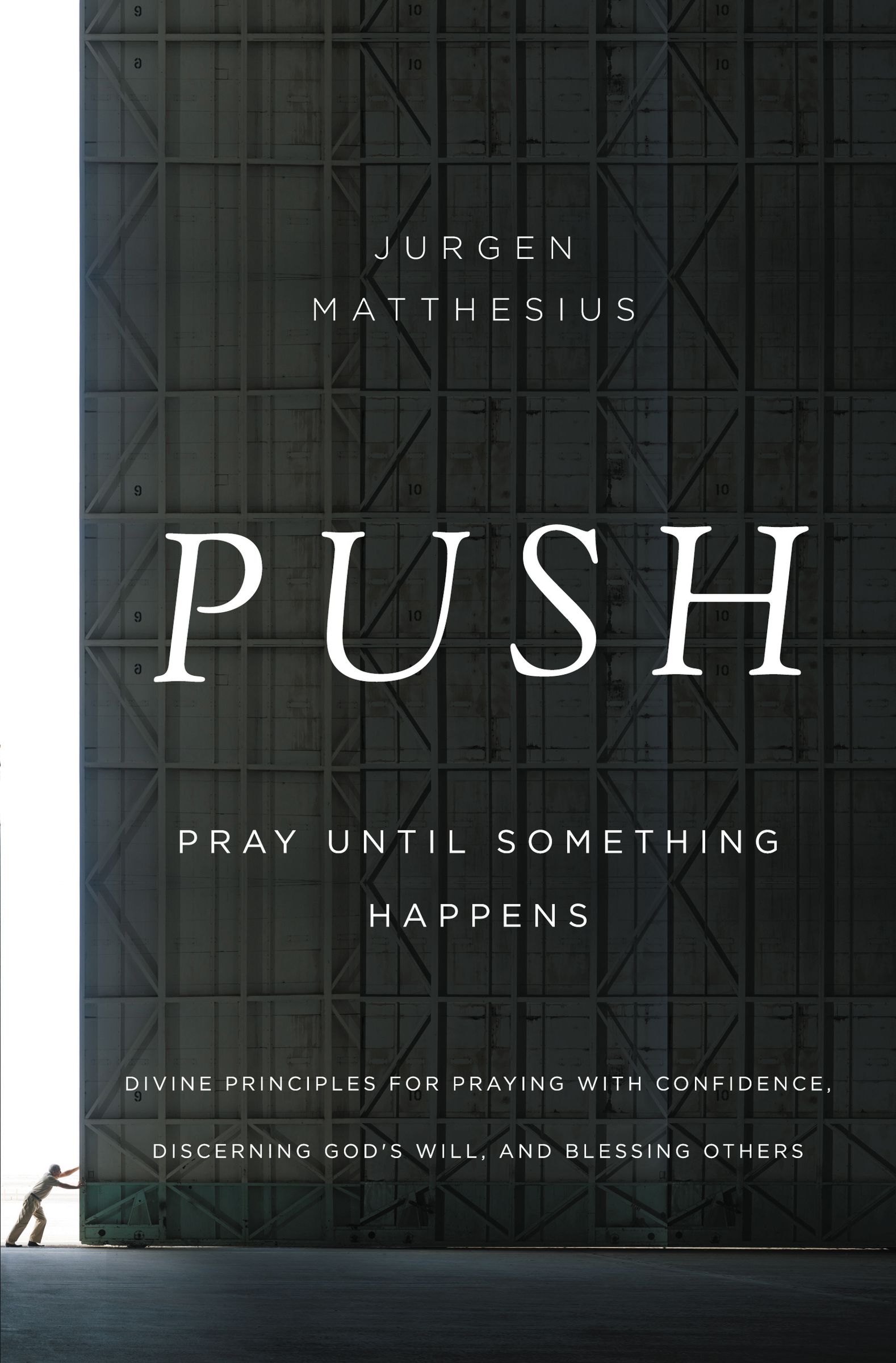 Push By Jurgen Matthesius (Paperback) 9781400206513