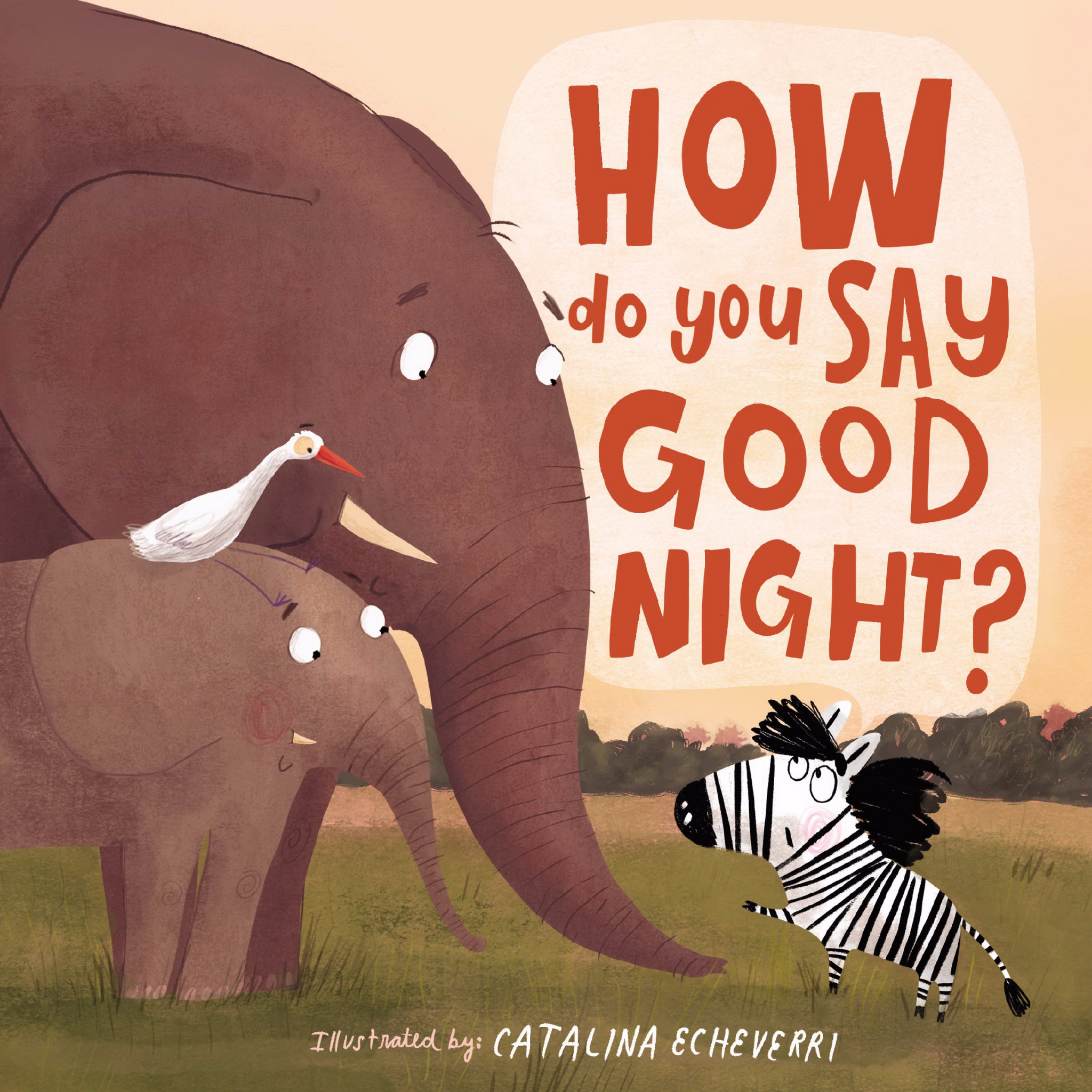 How Do You Say Good Night By Catalina Echeverri (Board book)