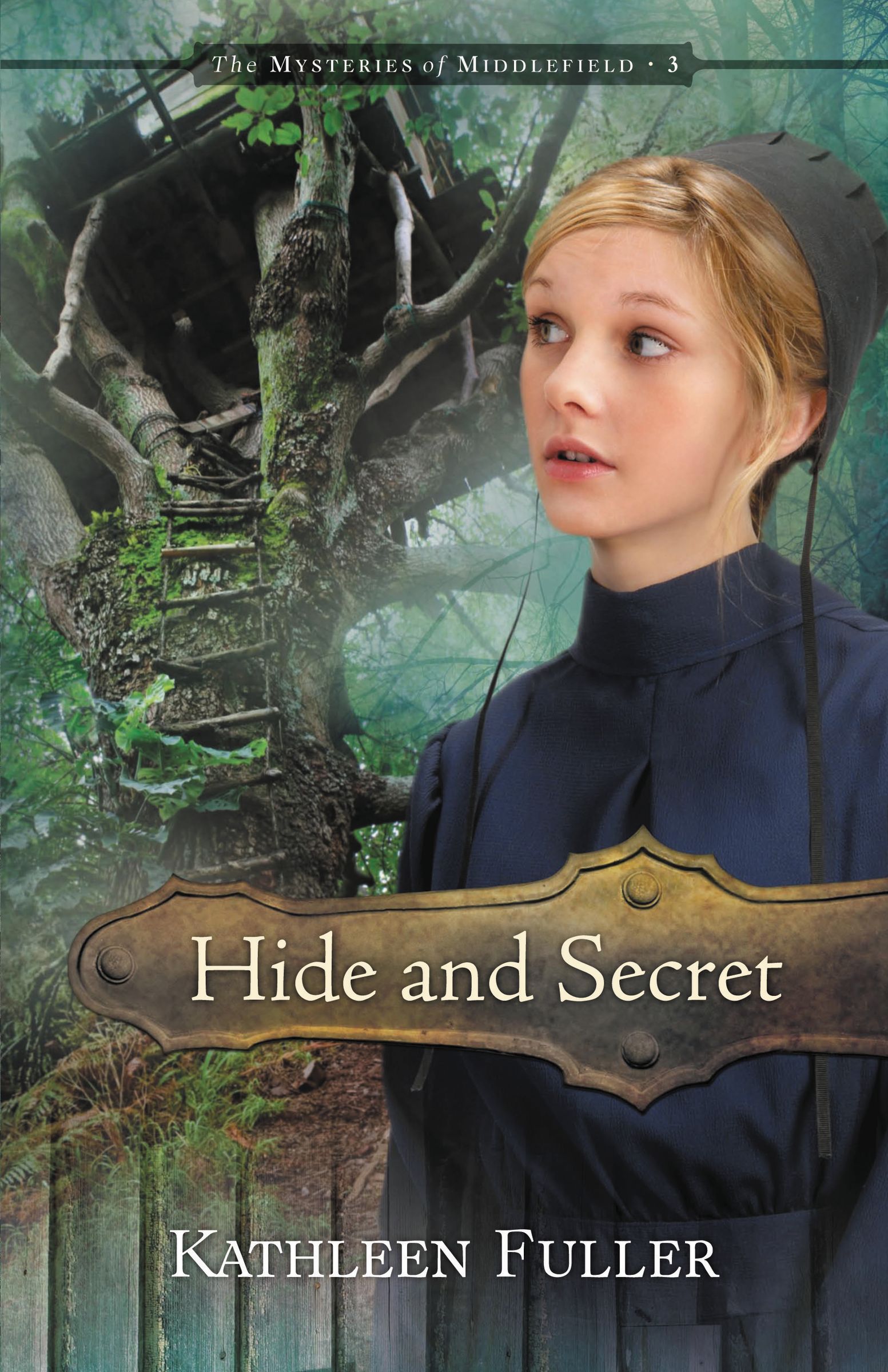 Hide And Secret By Kathleen Fuller (Paperback) 9781400317196