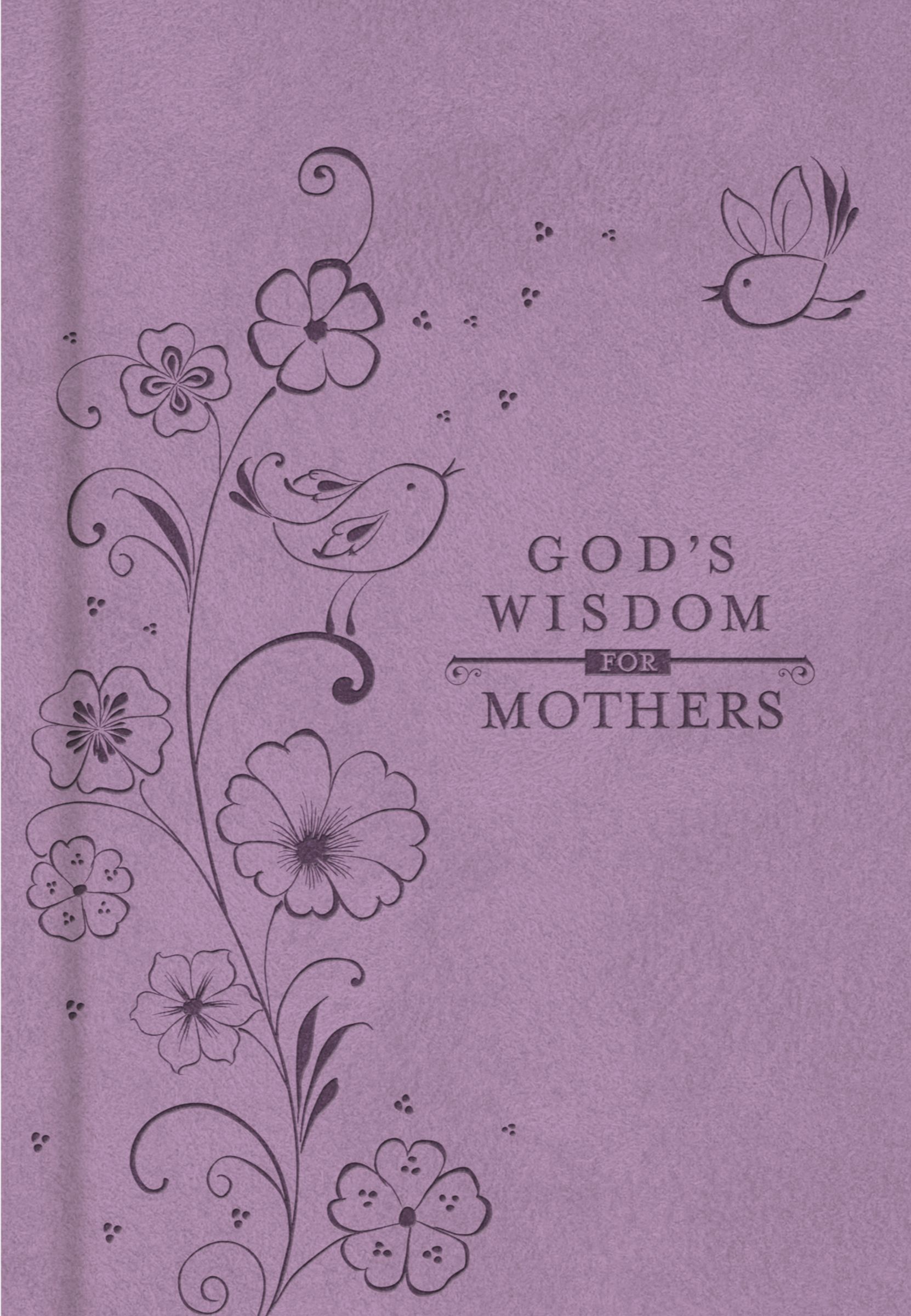 Gods Wisdom For Mothers By Jack Countryman (Hardback) 9781400318162