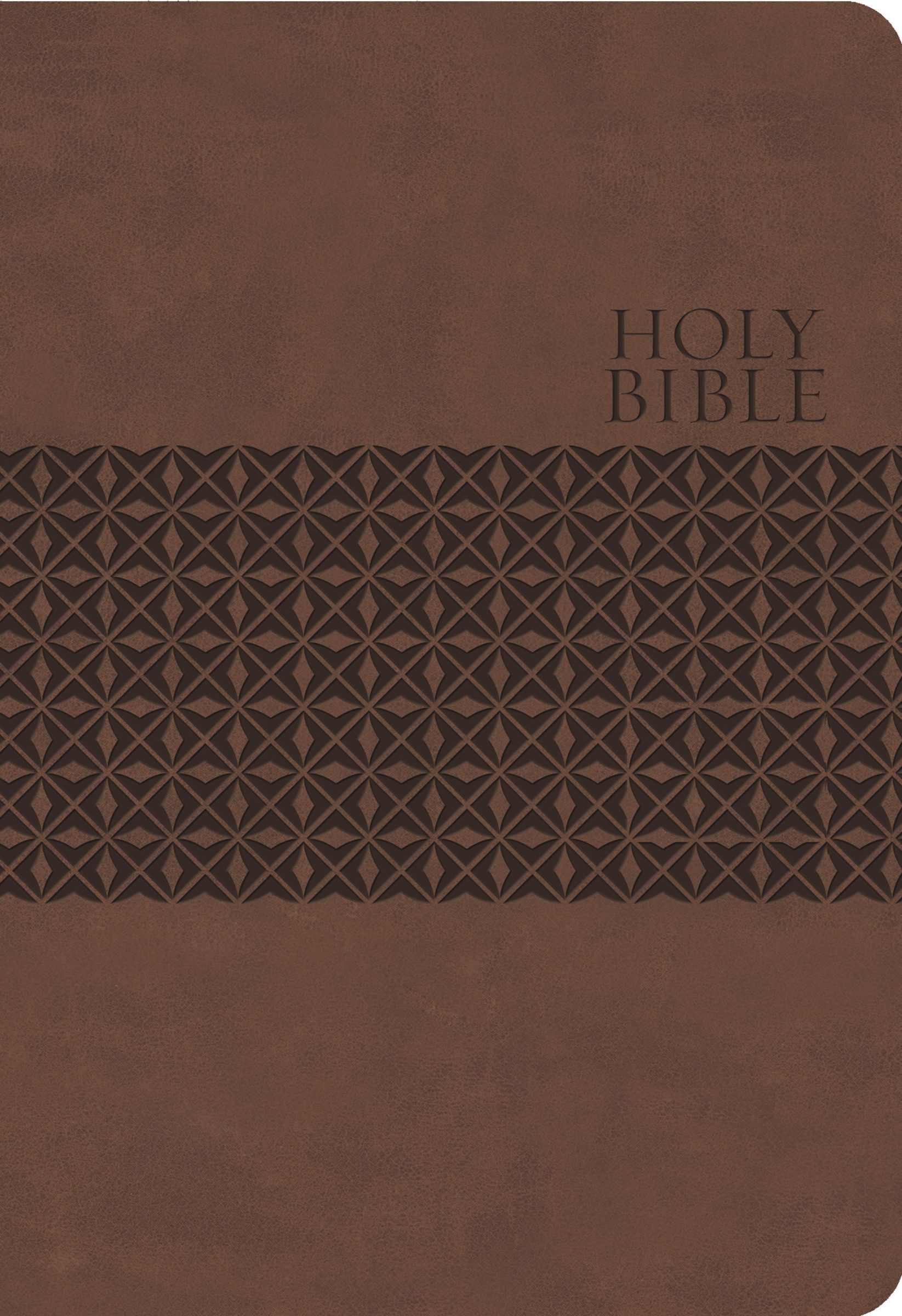 Study Bible-KJV By Thomas Nelson (Leather) 9781401680343