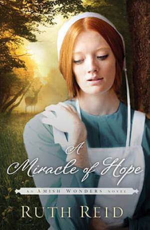 A Miracle of Hope By Ruth Reid (Paperback) 9781401688295