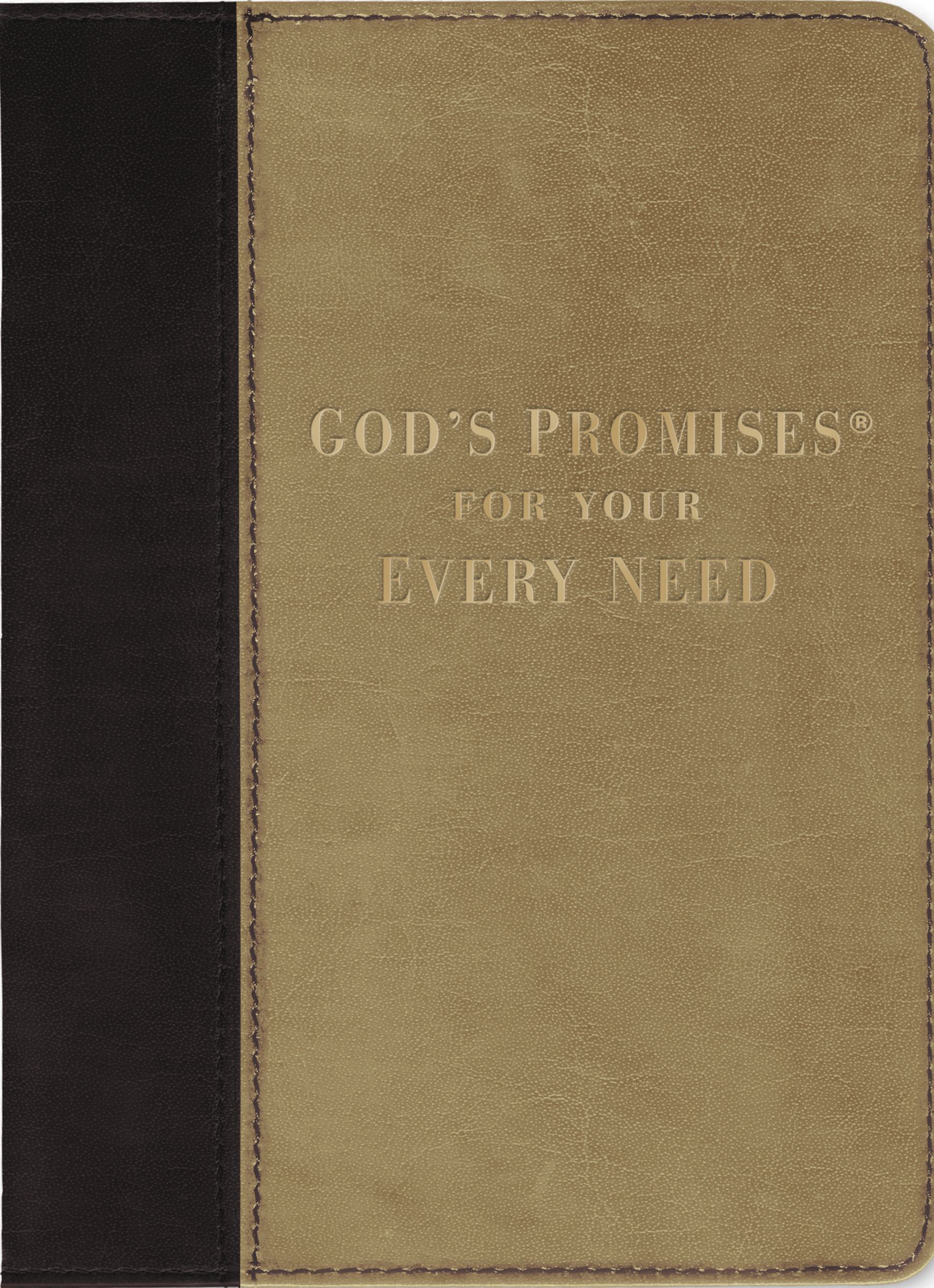 God's Promises for Every Need Deluxe Edition (Paperback) 9781404187085