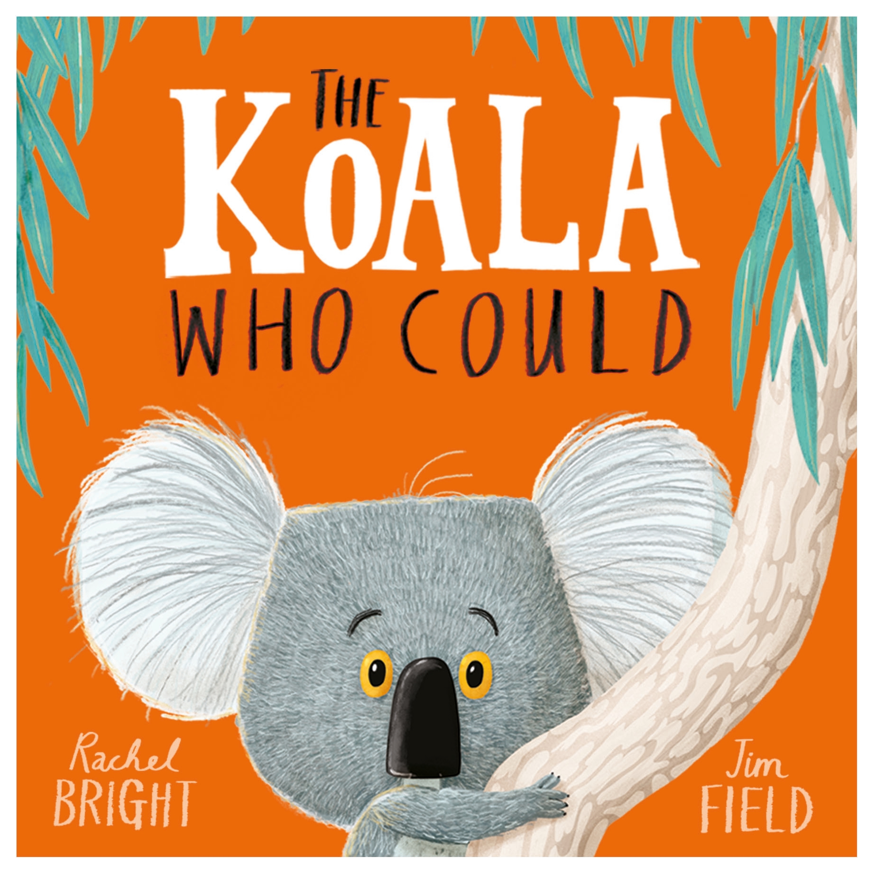 Koala Who Could